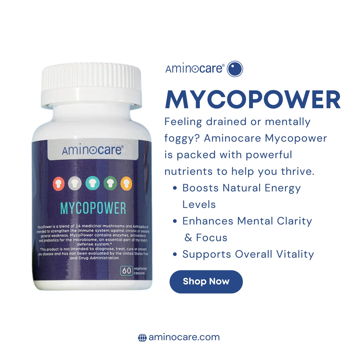 Energize Your Body, Sharpen Your Mind with Mycopower