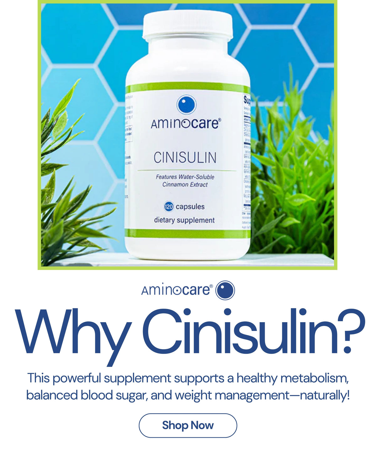 Cinisulin & Metabolism: Balanced Weight Management Tips
