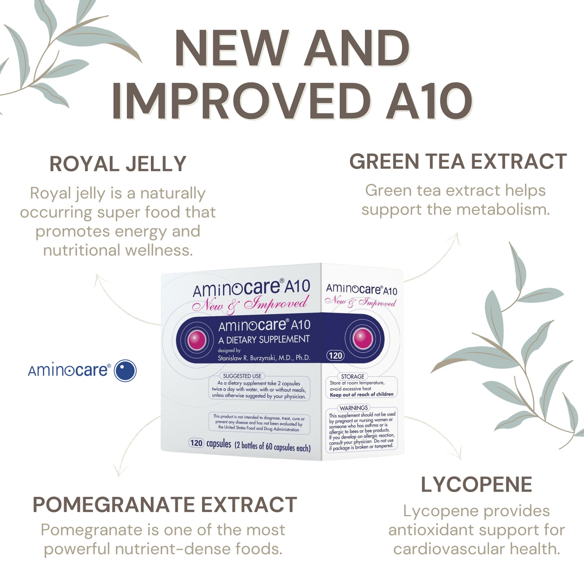 Improved Antioxident Levels in Aminocare® A10 Supplements