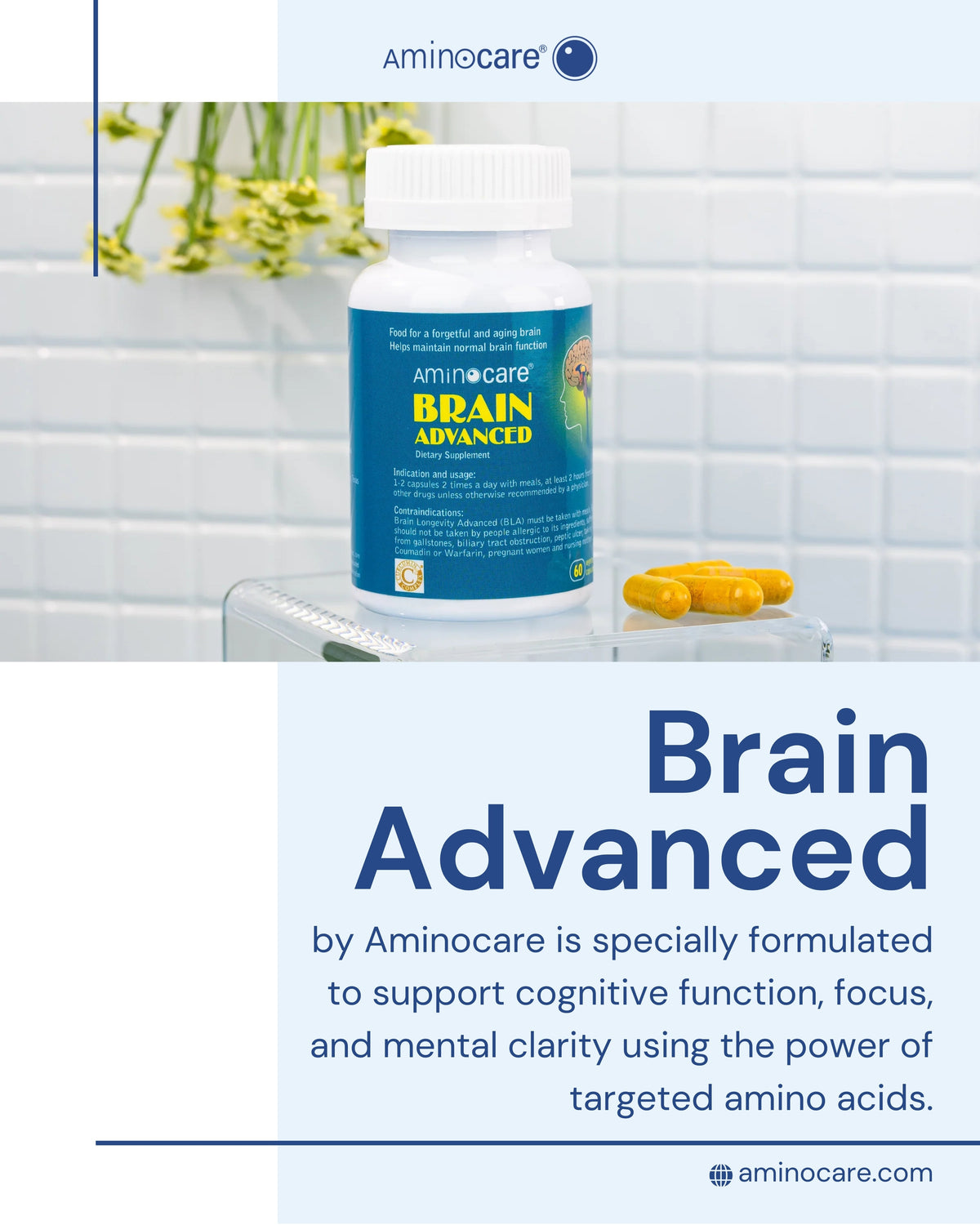 Brain Advanced: Fuel Your Cognitive Function