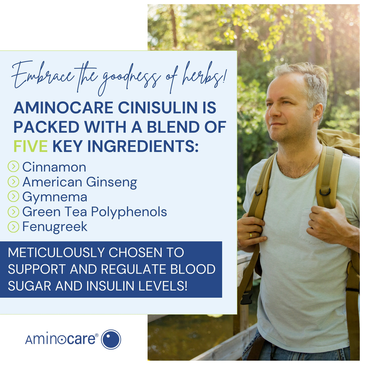 POWER OF HERBS W BLOOD SUGAR & INSULIN LEVELS - CINISULIN