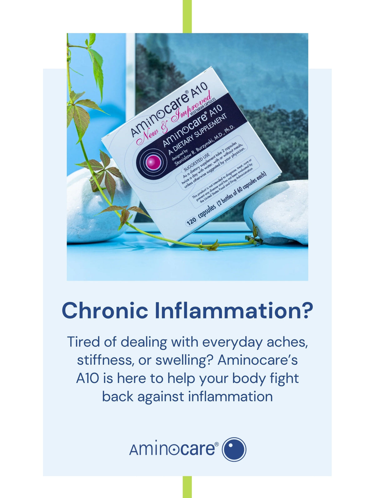 Chronic Inflammation and Aging: How A10 by Aminocare Supports Cellular Health