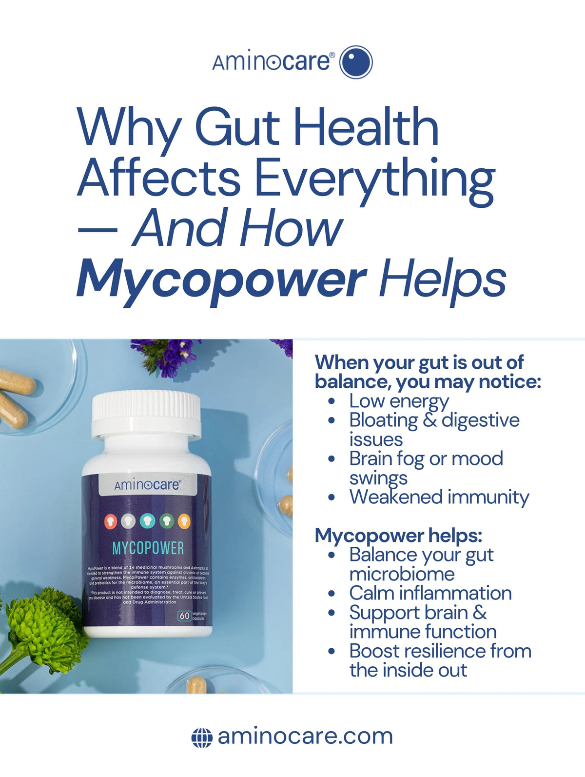 Why Gut Health Affects Everything — How Mycopower Supports Your Wellness