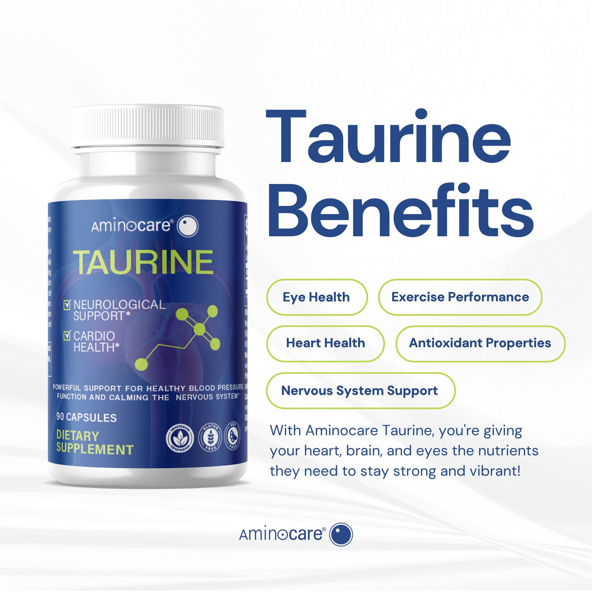 Taurine Benefits Explained