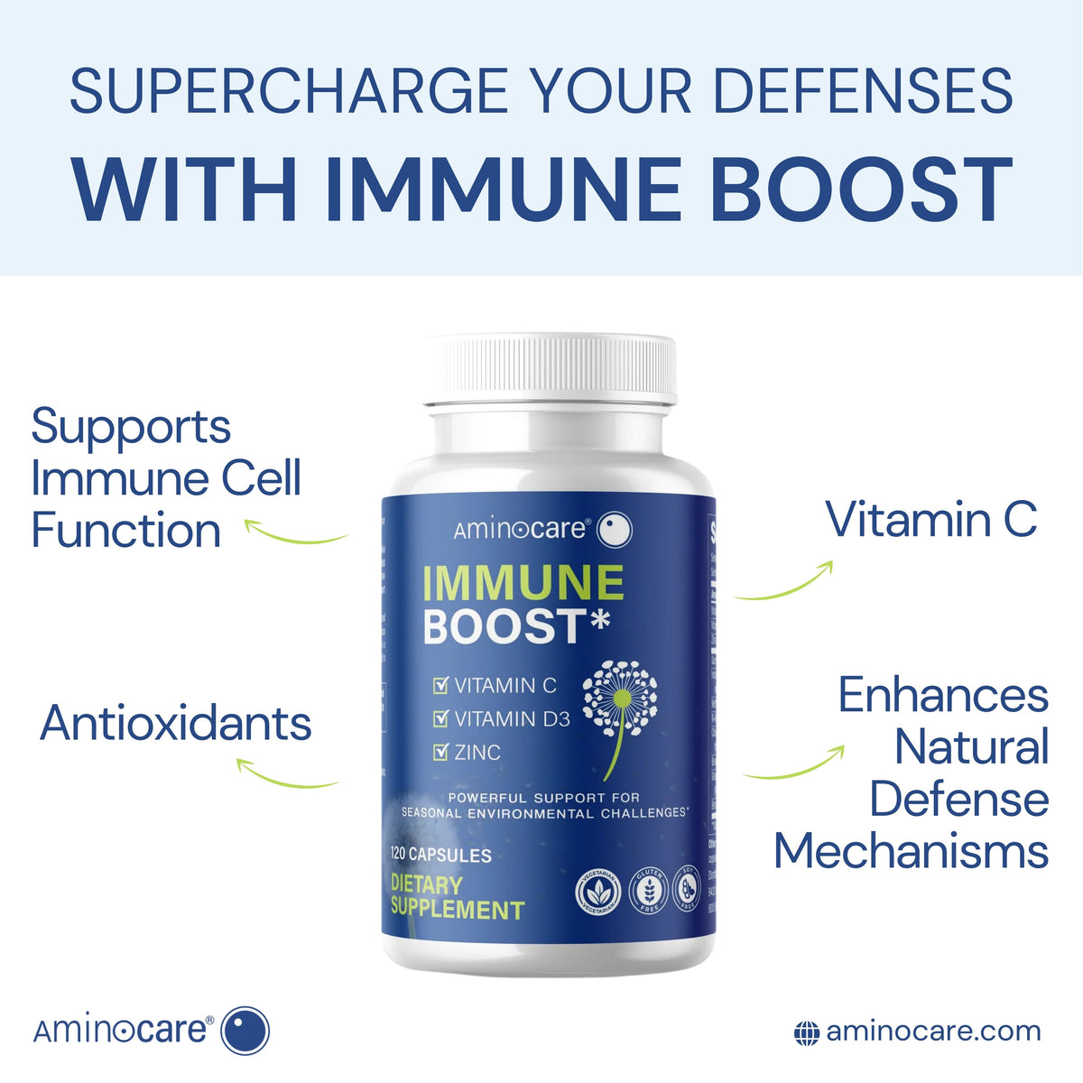 Supercharge Your Defenses with Immune Boost