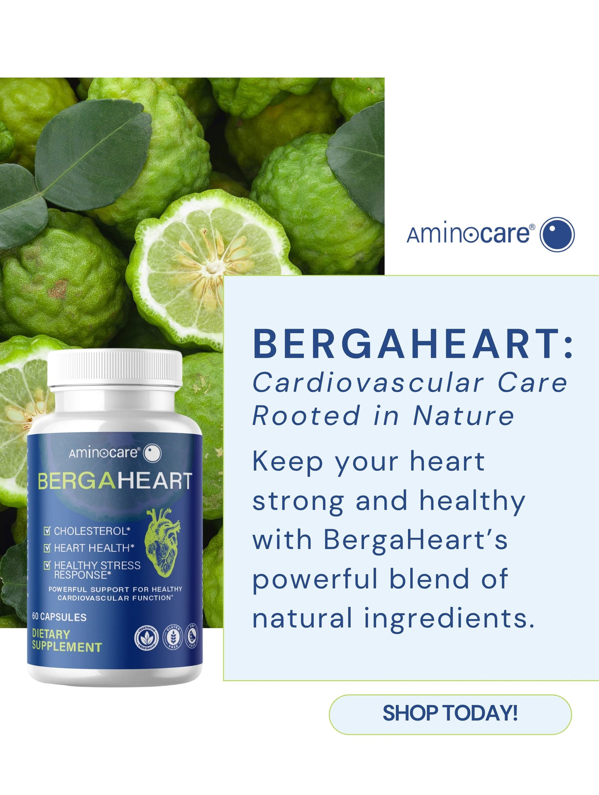 Unlocking the Secrets to Heart Health: The BergaHeart Approach
