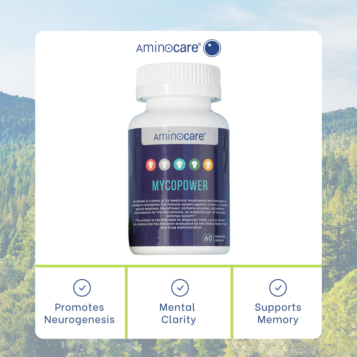 Mycopower: Boost Your Immune Defense Naturally with the Power of Mushrooms