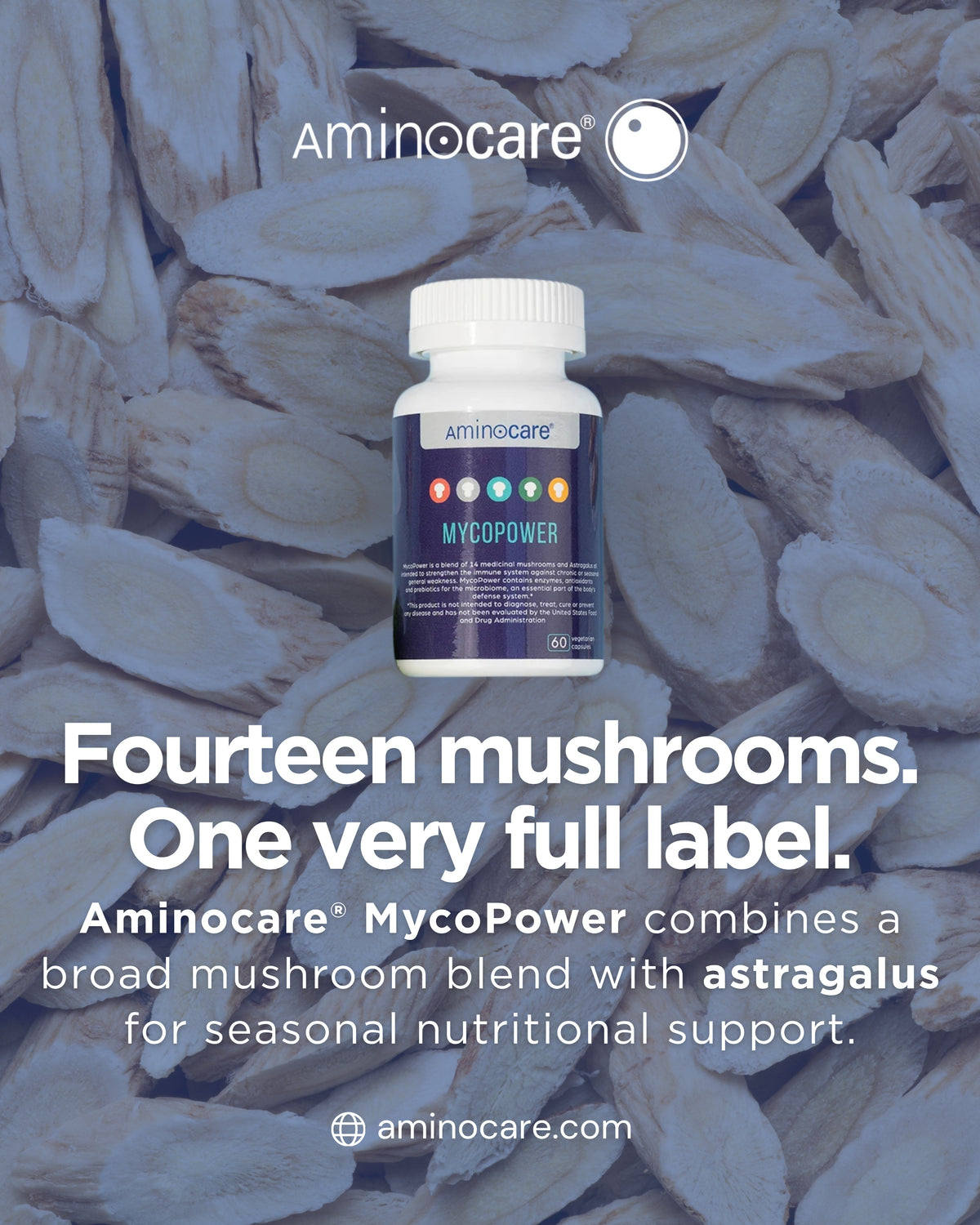 What Is Inside a 14-Mushroom Supplement Blend? educational feature from Aminocare® Products
