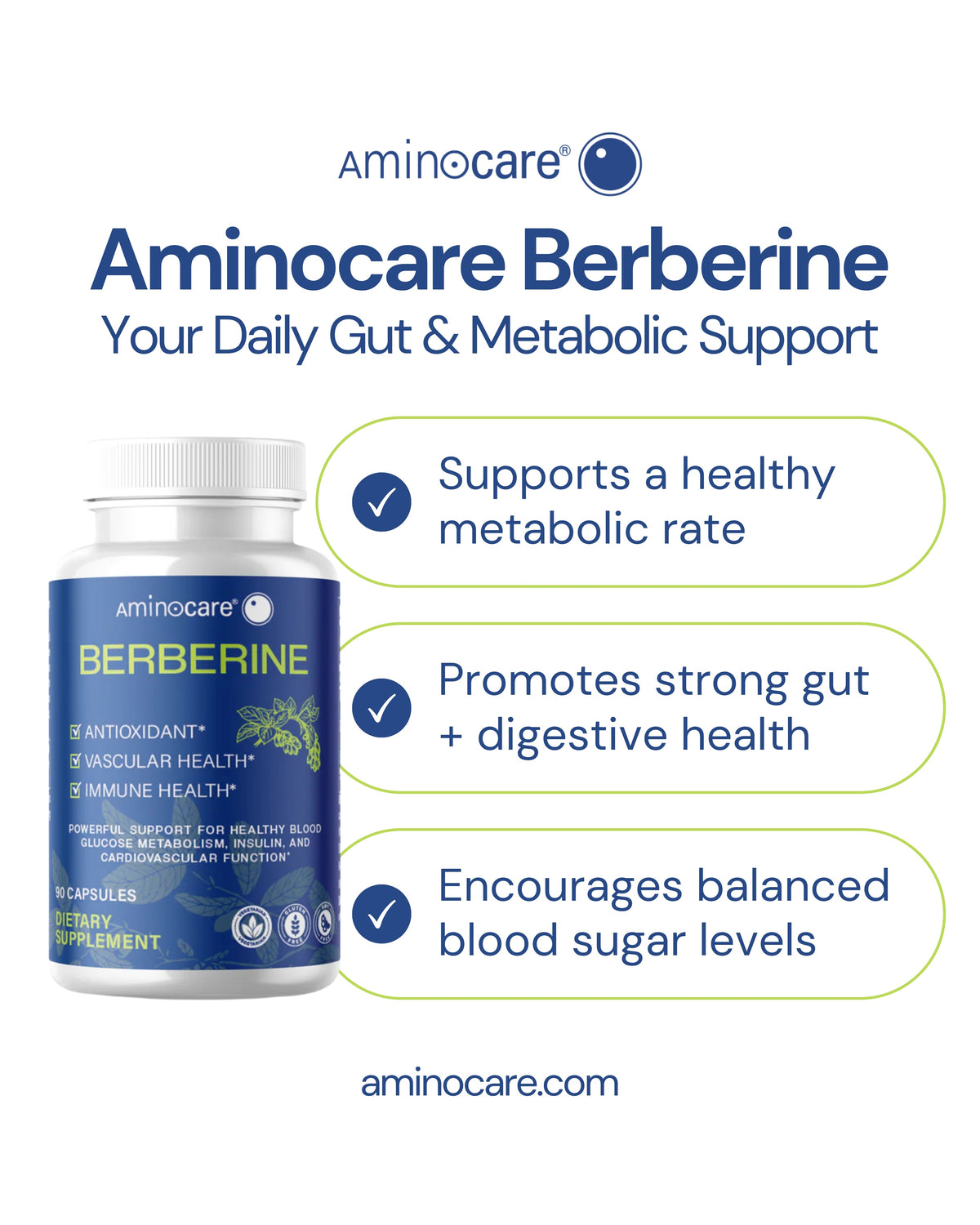 Aminocare® Berberine supplement bottle highlighting gut and metabolic support benefits