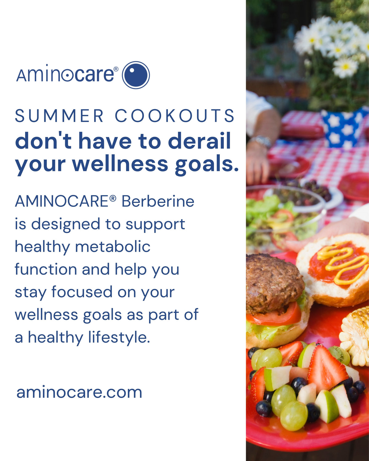 Summer Balance and Berberine Support | Aminocare®
