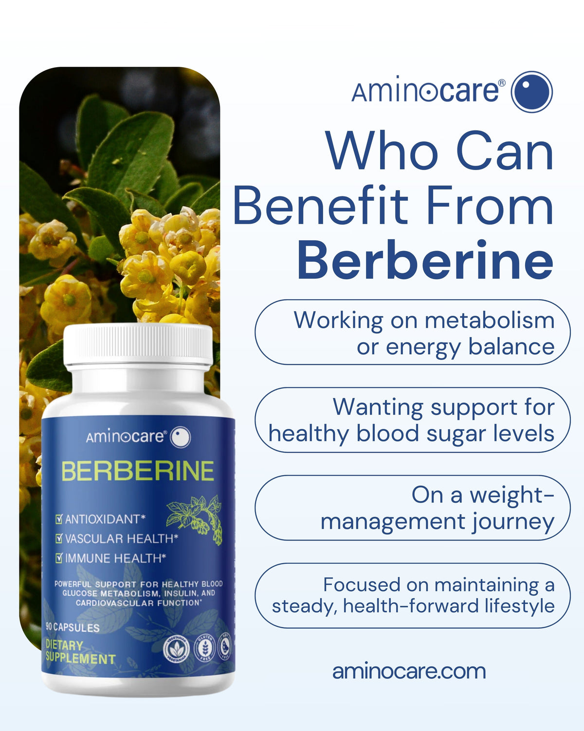 Bottle of Aminocare® Berberine supplement with text highlighting blood sugar support, metabolism, and overall wellness benefits