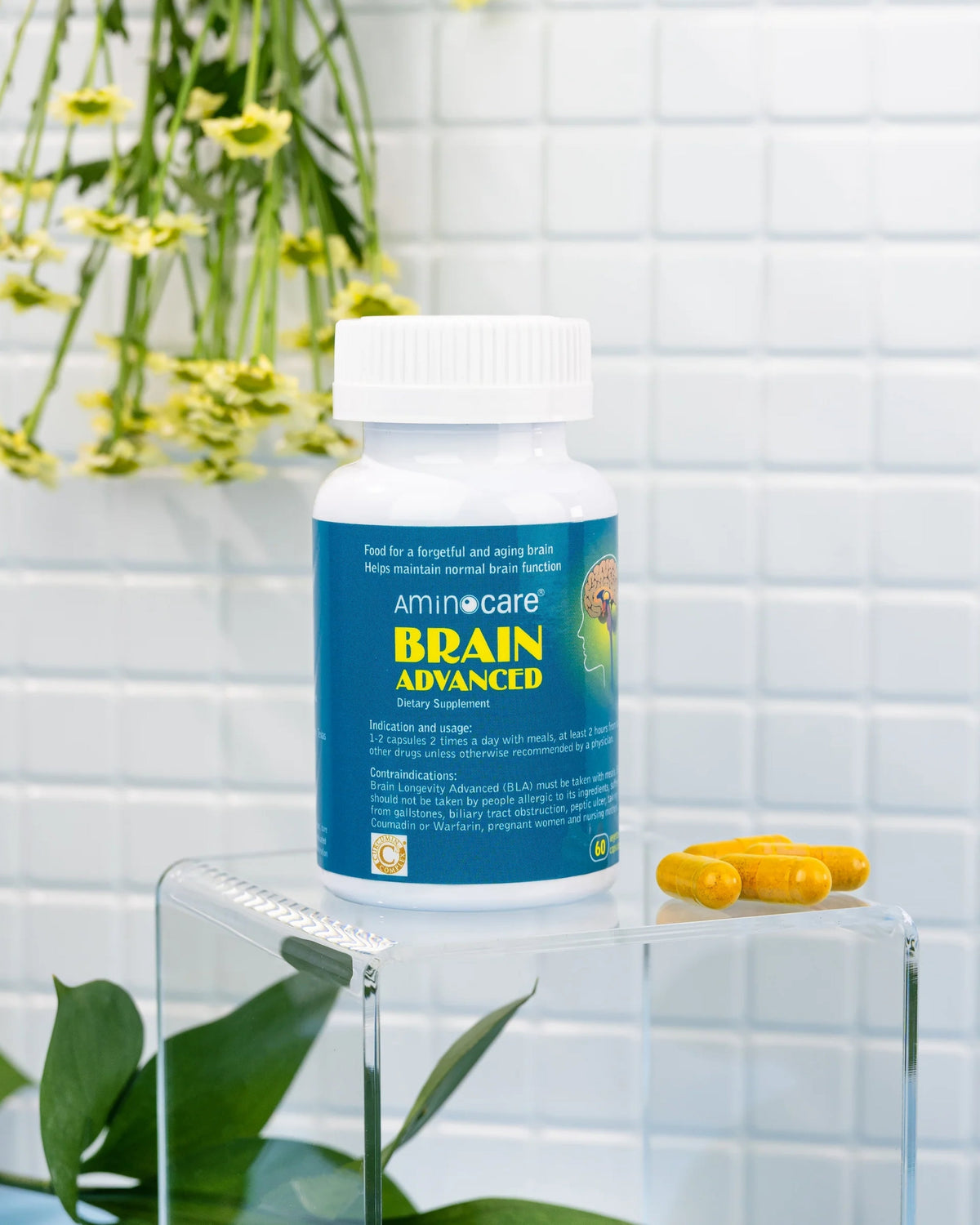 Aminocare® Brain Advanced: Feeding Your Brain What It Can Use