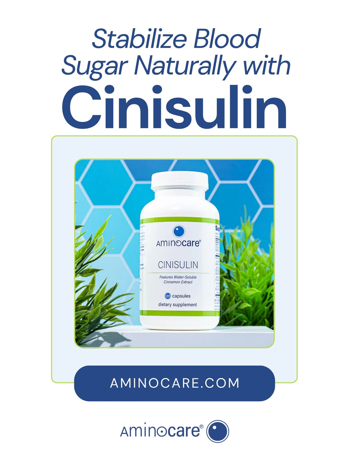 Say Goodbye to Energy Crashes: How Cinisulin by Aminocare Supports Blood Sugar