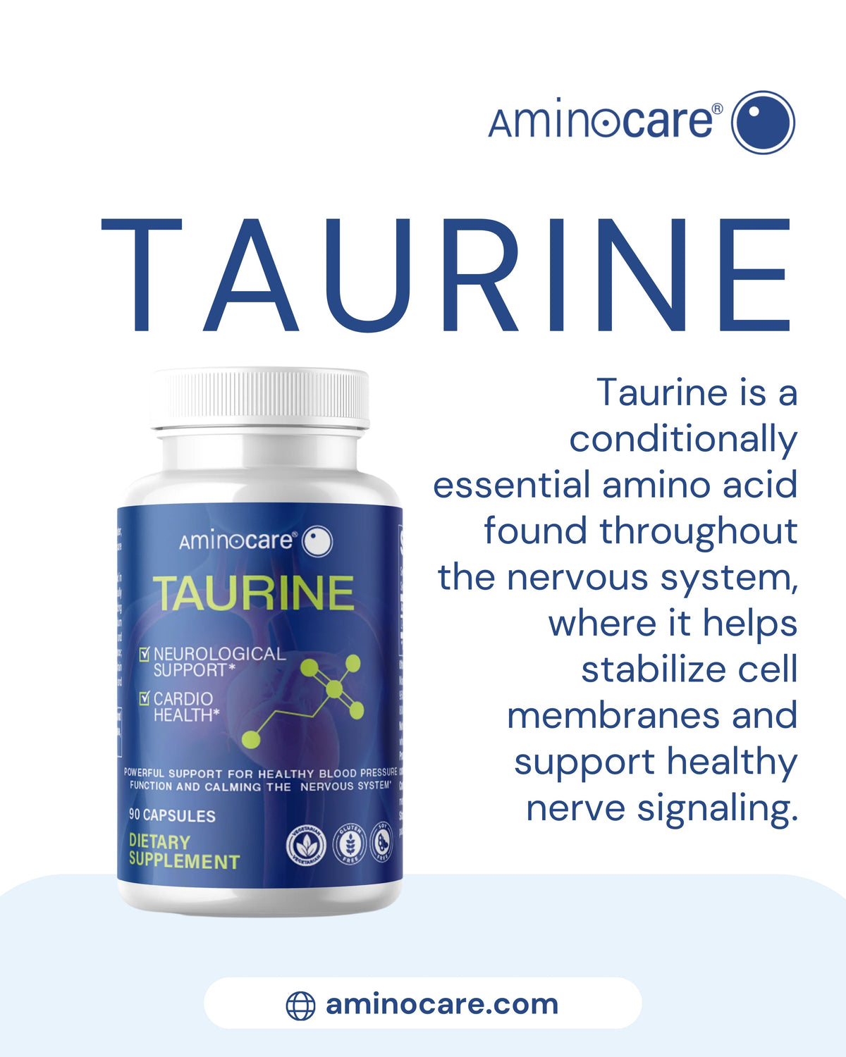 Taurine for Nervous System and Cellular Balance | Aminocare®